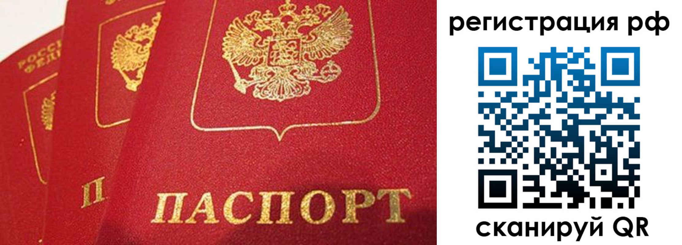 прописка поиск в Называевске
